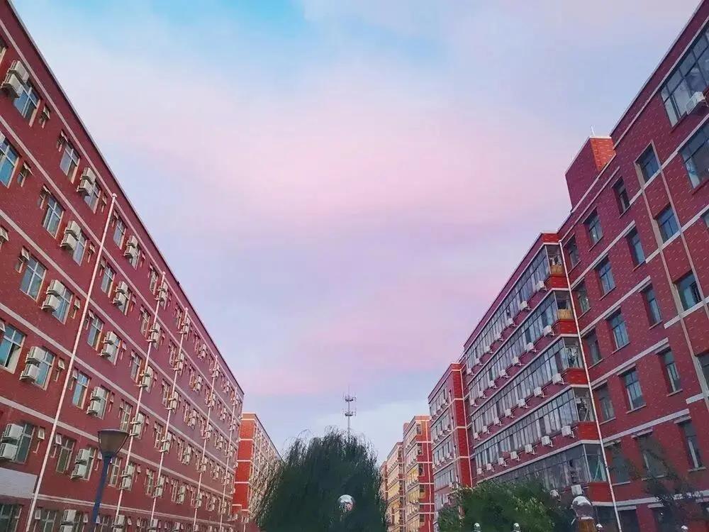 我眼中的石家庄学院,石家庄学院的发展历程