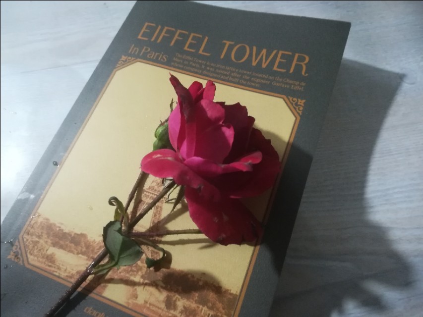 缠绵的雨,缠绵的雨散文