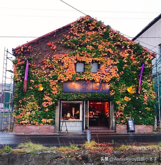 北海道小樽啤酒测评,日本北海道必买手信