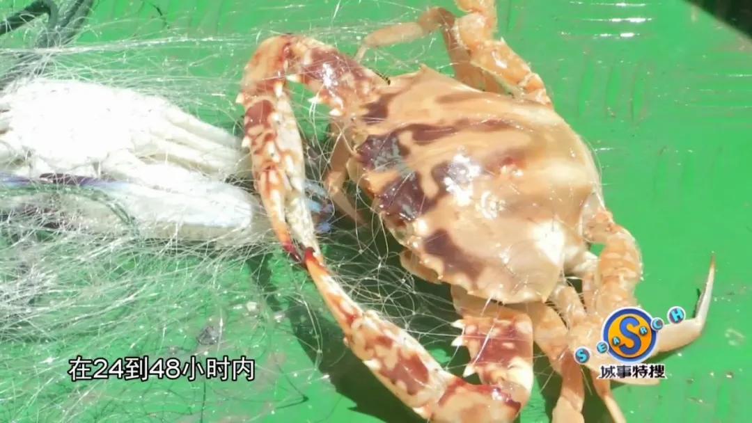 男子被钳子夹住致命部位,男子被咬一口全身器官衰竭