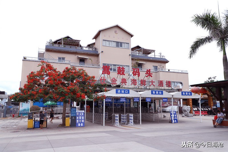 海沧嵩屿码头去鼓浪屿航线通了吗 (海沧嵩屿码头时间表)