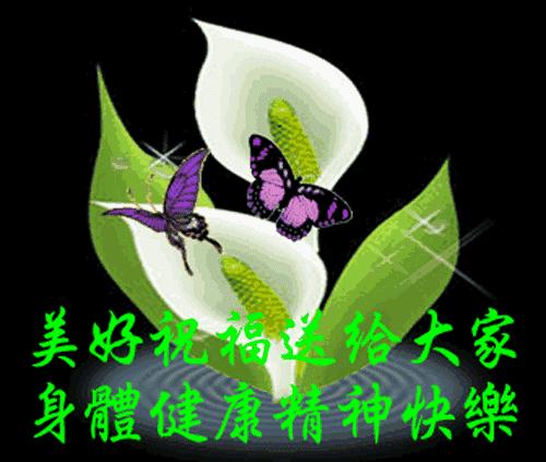 六月最近的早上好祝福语动态图片,新的五月份早上好问候图片