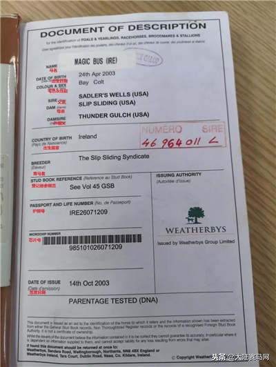 马也有护照？中国、日本的最好辨认，法国居然这么写！