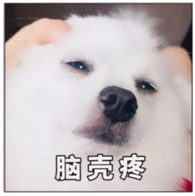 交友软件探探soul,soul陌陌探探等交友软件