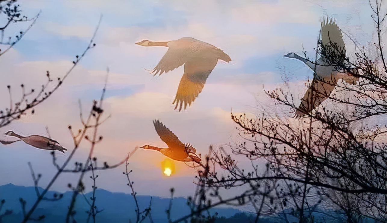 黄正华|客寄他乡两鬓秋,梦回少小一无忧(原创诗词十五首)