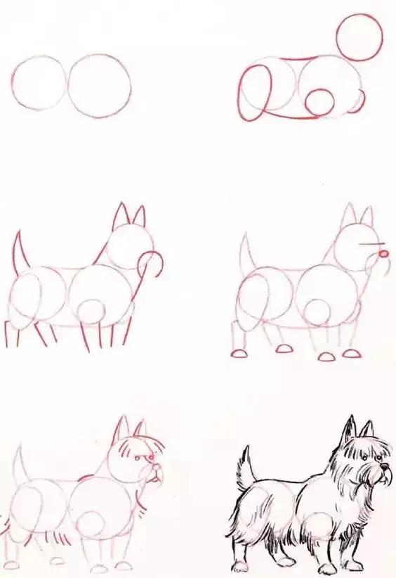 1-10数字动物简笔画图片大全,简笔画小动物100种可爱海底动物