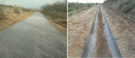 大荔县示范村名单,大荔县10个村