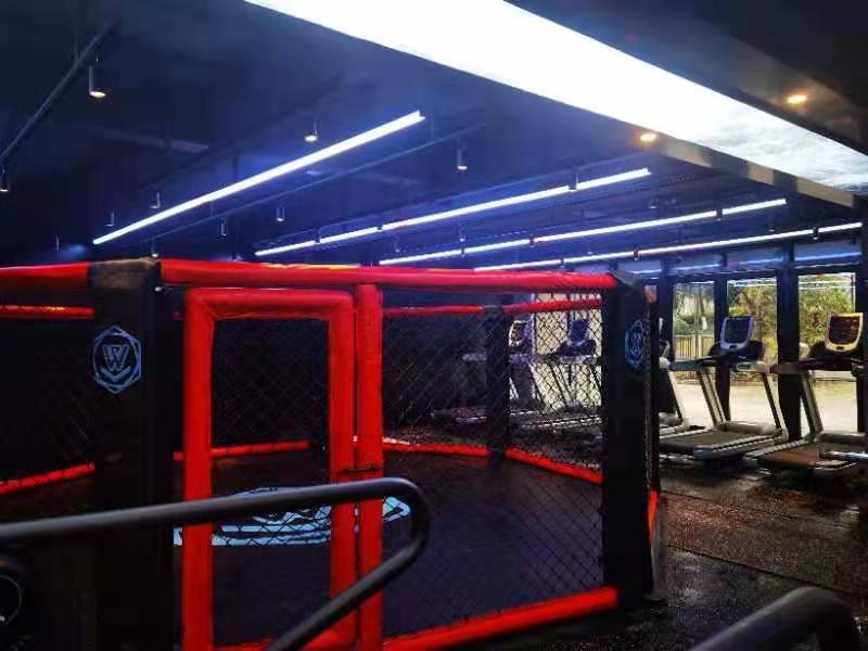 吃苦的年纪不要选择安逸句子,坚持健身给自己一个强健的体魄