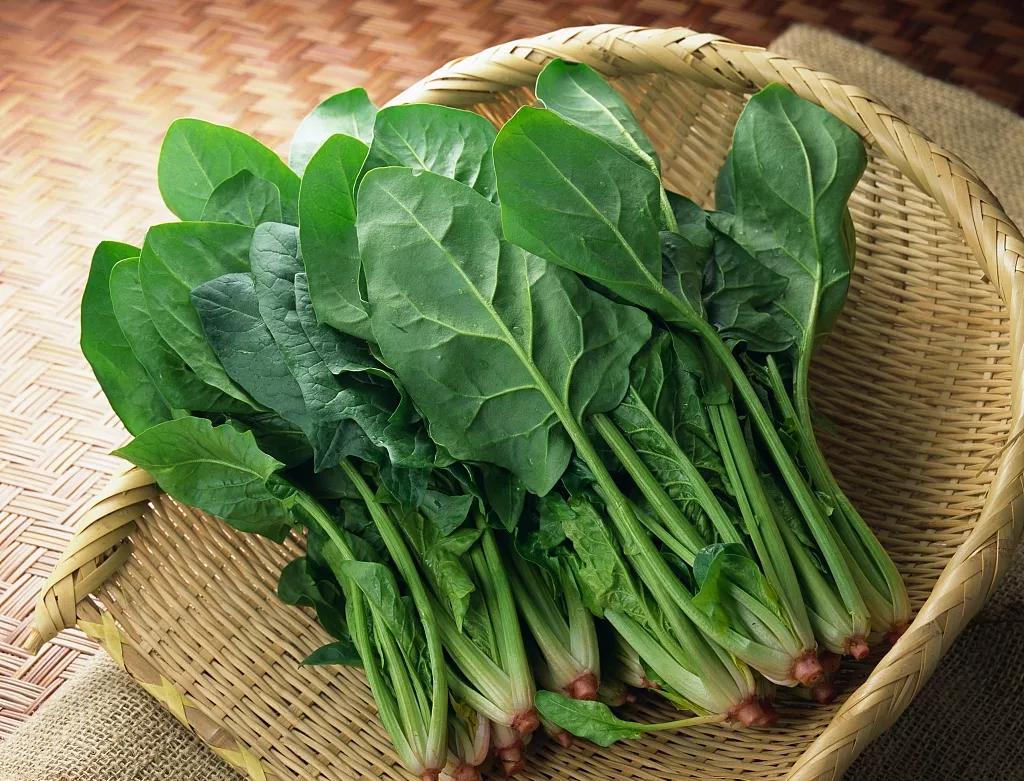 好好吃饭|蔬菜天然擅“通利”,是古人的“排浊”神器