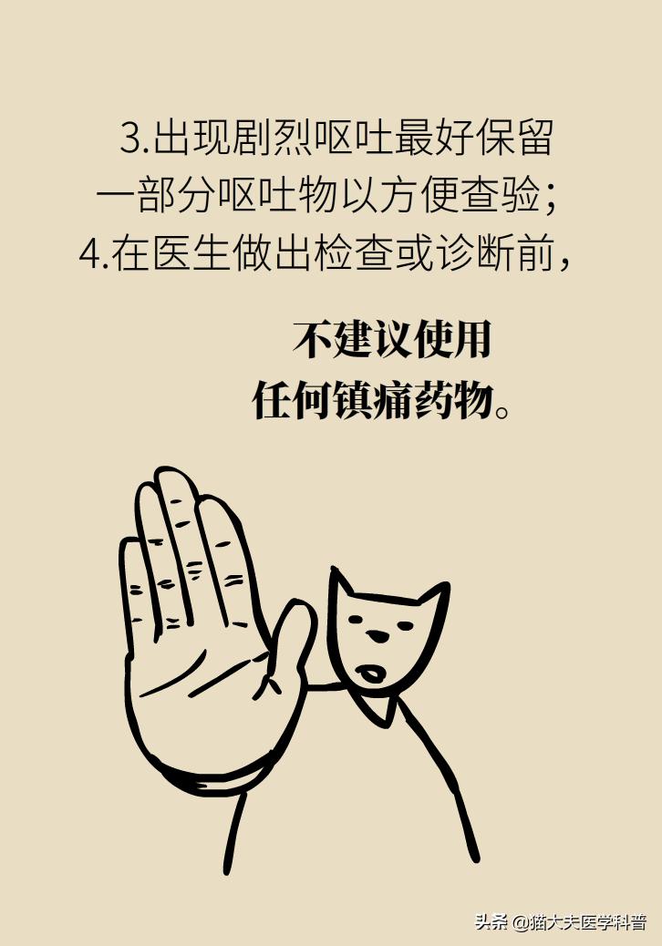 突然毫无征兆的肚子疼怎么办,肚子疼不是胃的问题还可能是什么