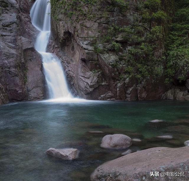 十大难喝饮料崂山白花蛇草水,最难喝的饮料崂山白花蛇草水测评