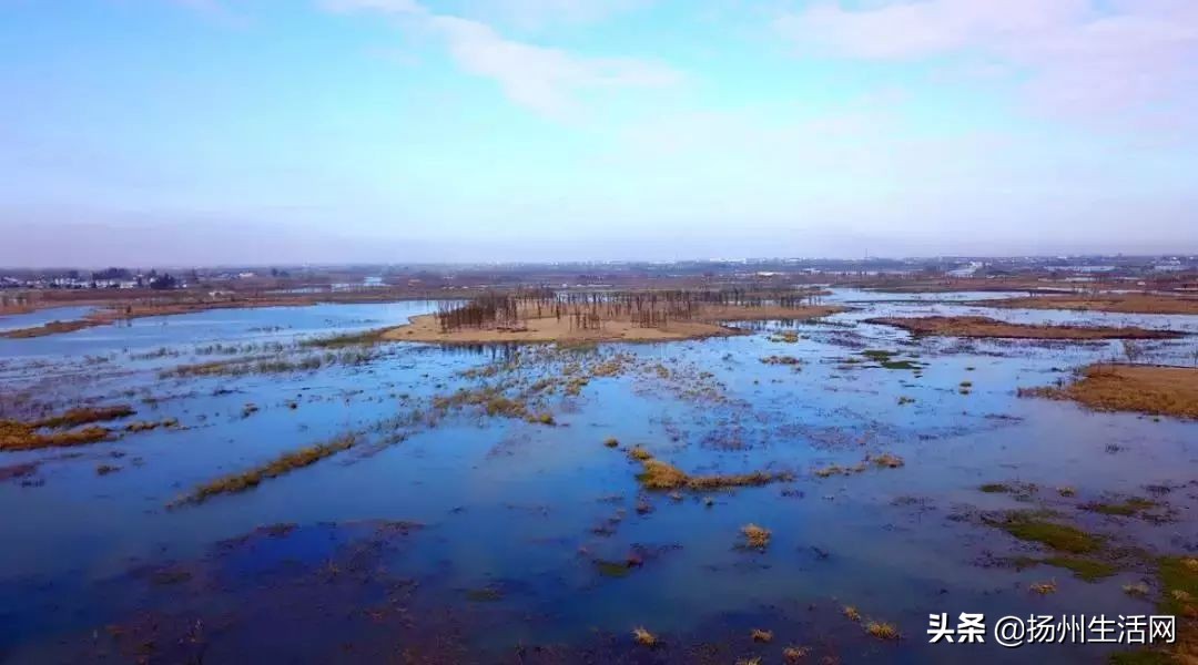 扬州西湖湿地公园在哪里,扬州湿地公园国家湿地公园