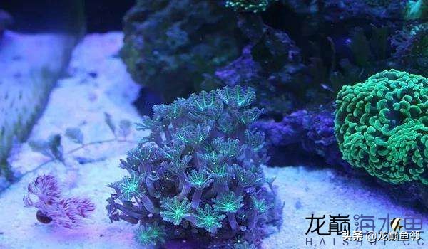 说出来都是泪！只有新下海的人才能体会这种痛，简直是全军覆灭