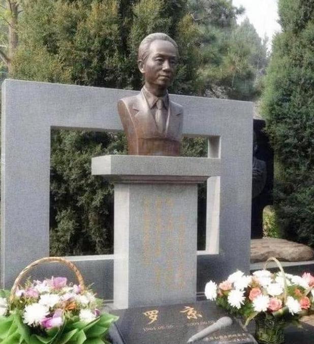 罗京葬礼刘继红现状,罗京死后刘继红怎么样了