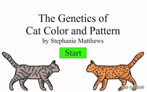 猫砂的100个常识,猫砂成分能被什么反应掉