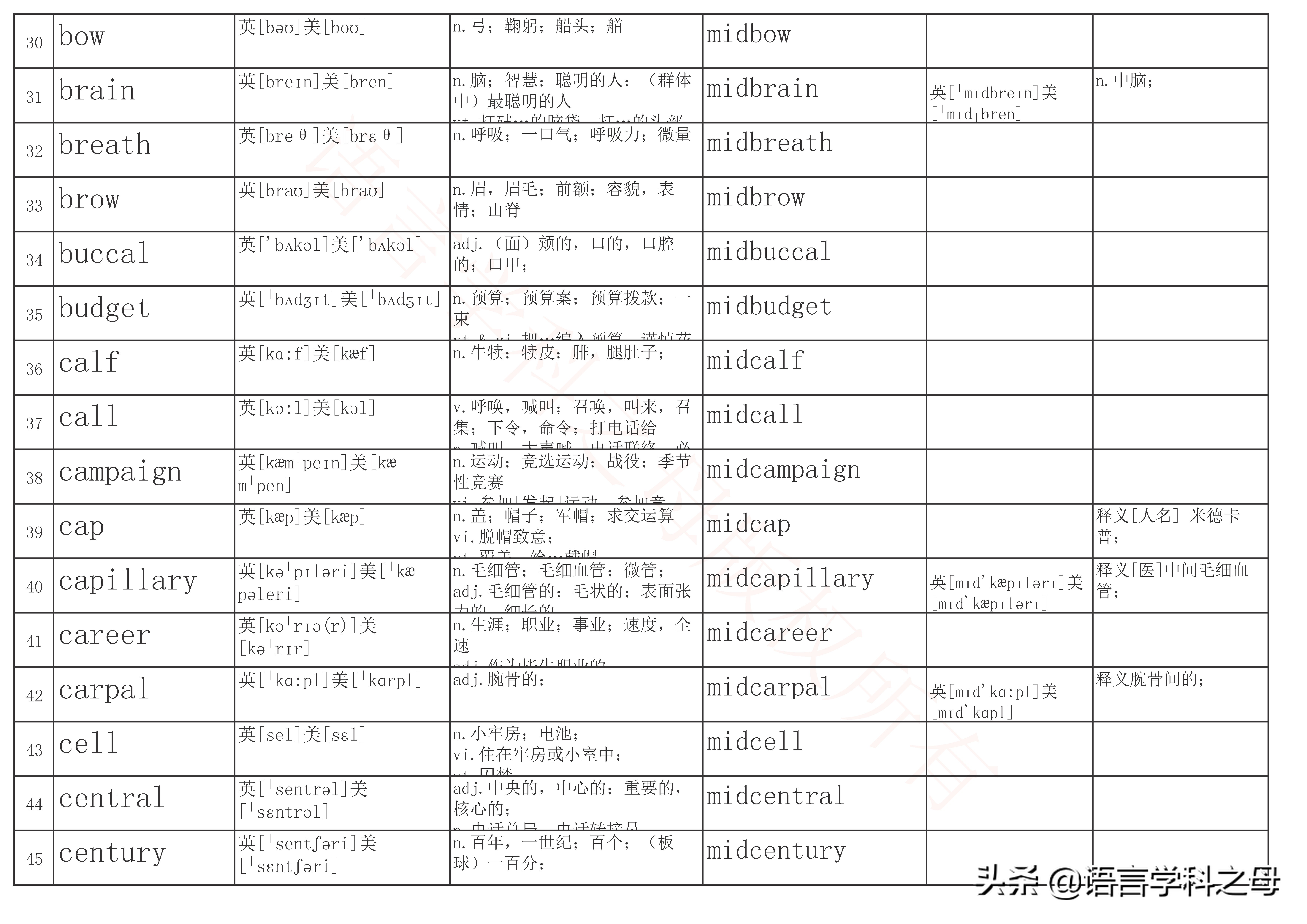 mid作前缀的单词大全,mid前缀的单词