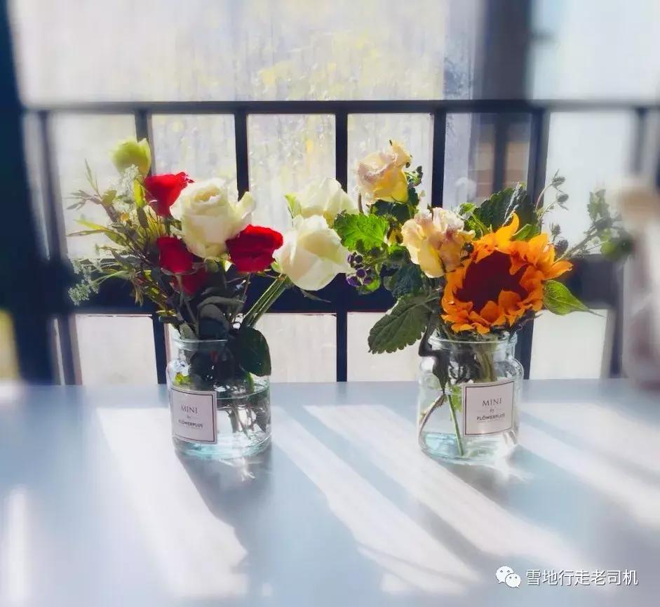 美物人间丨11月种草记之完美替代品,人生哪只有你?