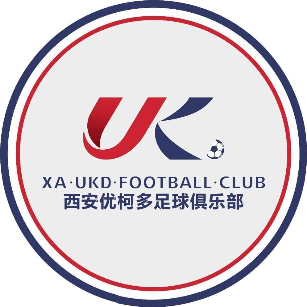 中国足球队历届队徽,中国足球队历年队徽变化