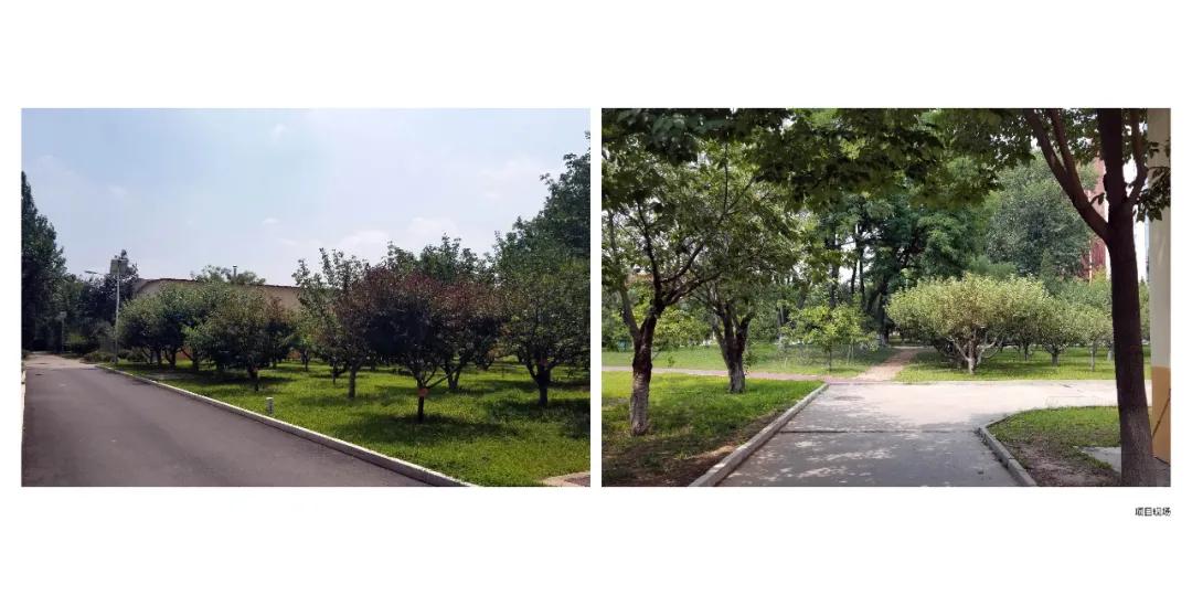 耿丹学院单人宿舍,耿丹学院学生公寓