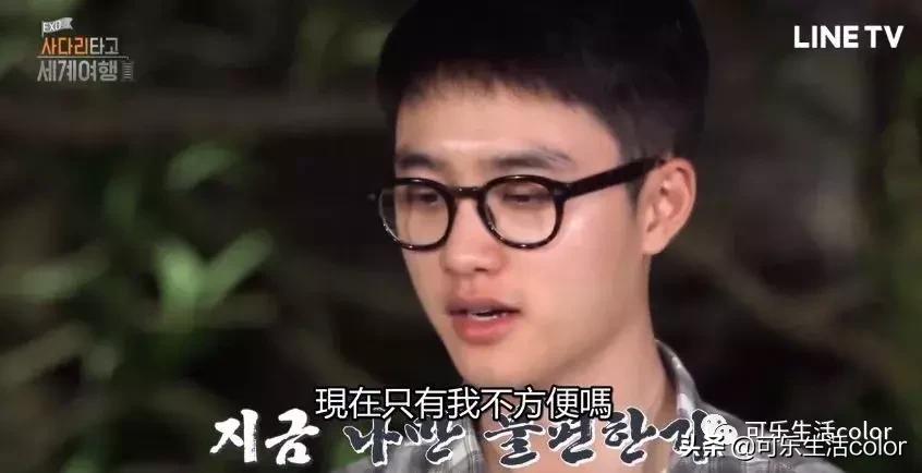 exo团综最新消息,exo综艺爬梯子世界旅行3