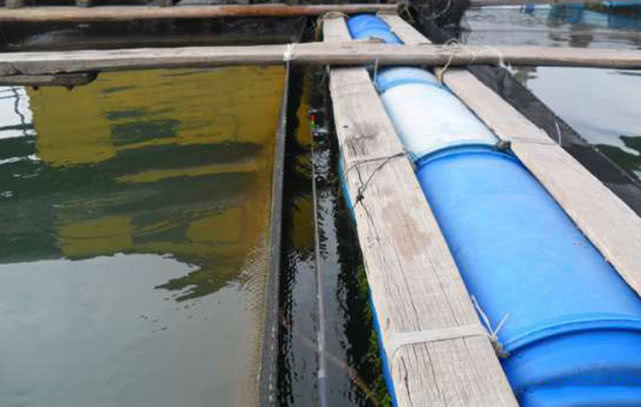 海边一种小不丁点大的泥猛鱼,刺得龇牙咧嘴,腹内有一股特殊的臭