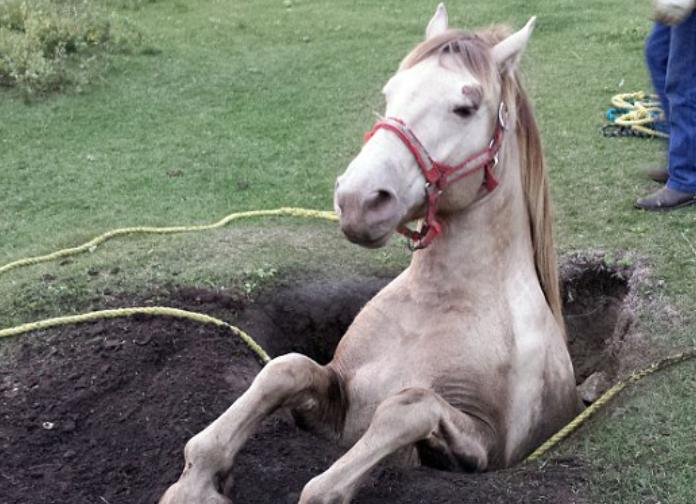 医院和医药公司哪个更好,美容院和日化店护肤品哪个好