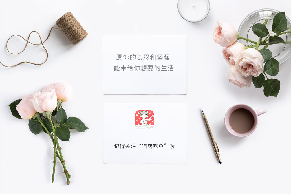 猫咪逃跑了找回来了怎么训,猫咪逃跑大概会躲到哪里