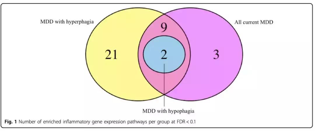 抑郁症研究的经典实验,抑郁症的研究报告