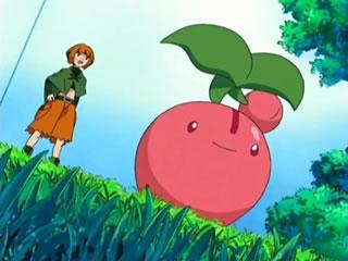 宝可梦图鉴1025和1015,宝可梦樱花福袋