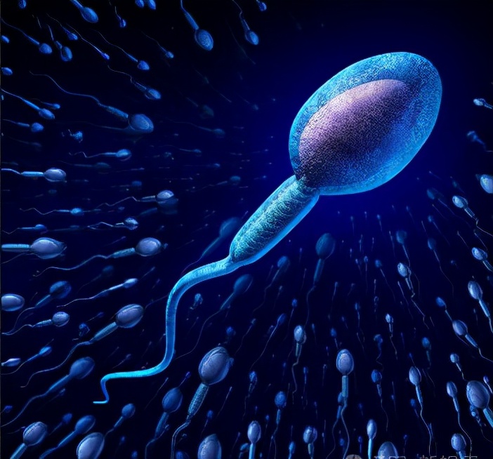 除了胎生和卵生还有什么繁殖方式,除了自然受孕还有什么方法生孩子