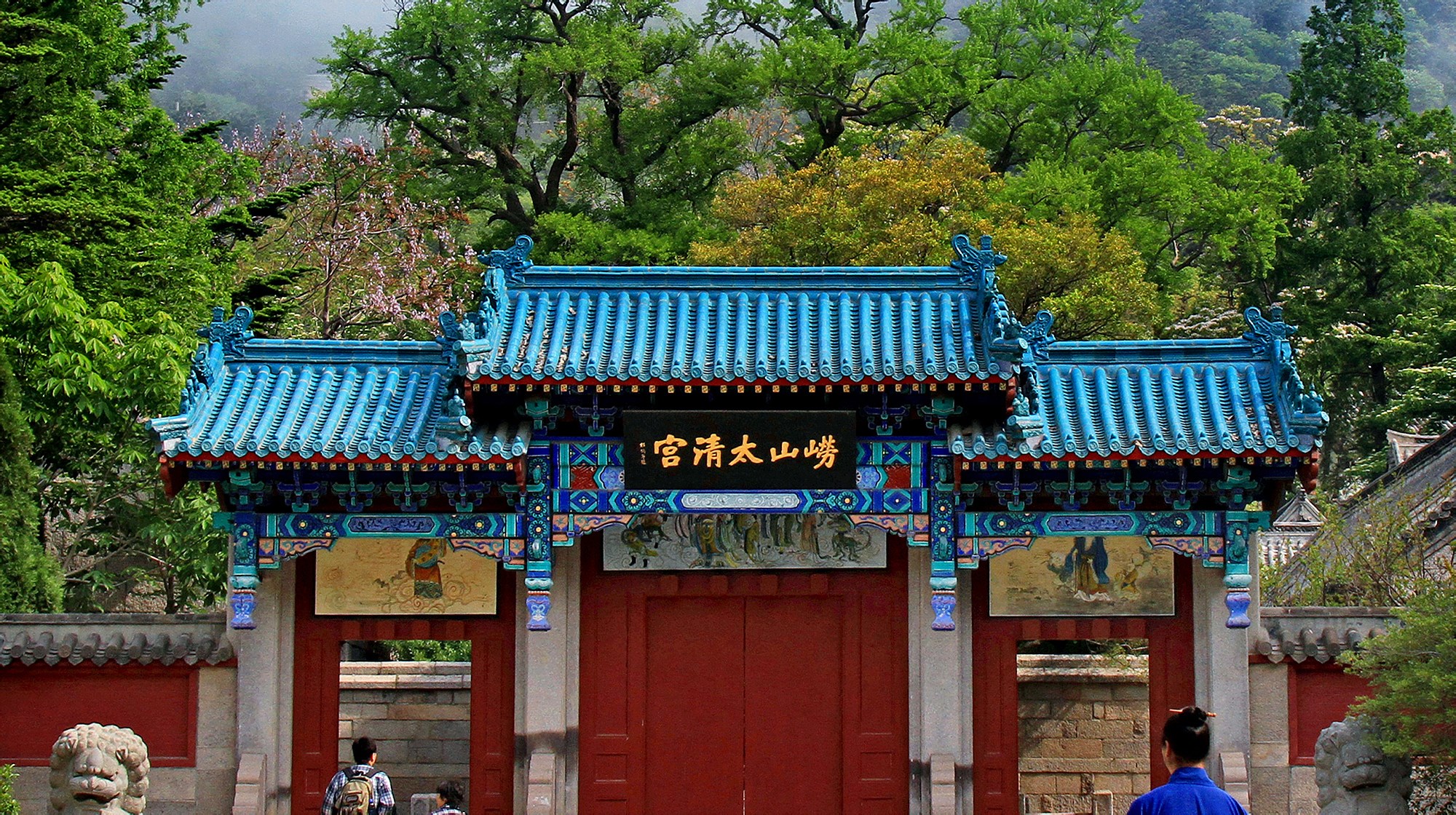 穷养猫vs富养猫的视频,穷养狗vs富养狗