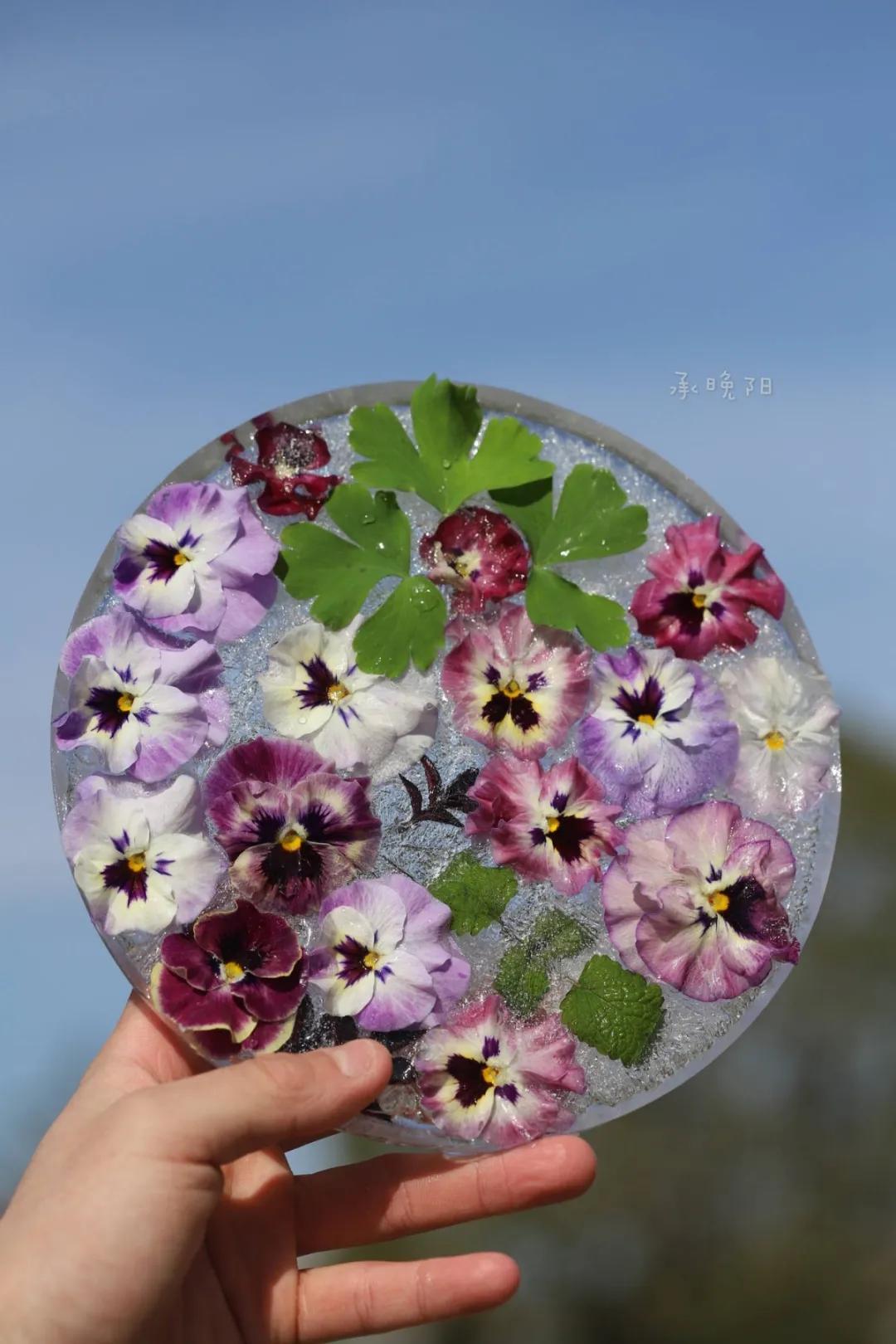 寒潮来袭，你的阳台也能开出这样的“水晶花”