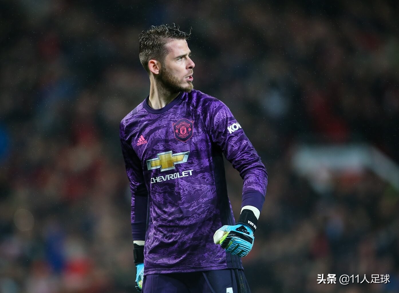 哈维被嘲讽,哈维对博格坎普的评价