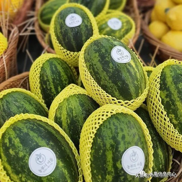 水果电商小白入门电商从哪里做起,如何做水果电商赚钱快又稳