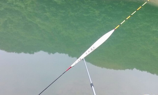 野钓最准的调漂方法和技巧,野钓钓大鱼调漂的正确方法与技巧