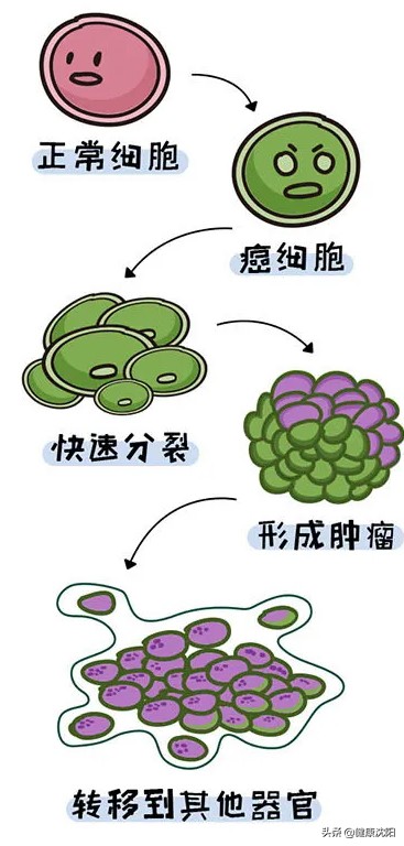 全国肿瘤防治宣传周肿瘤知多少,全国肿瘤防治宣传周对癌症的影响
