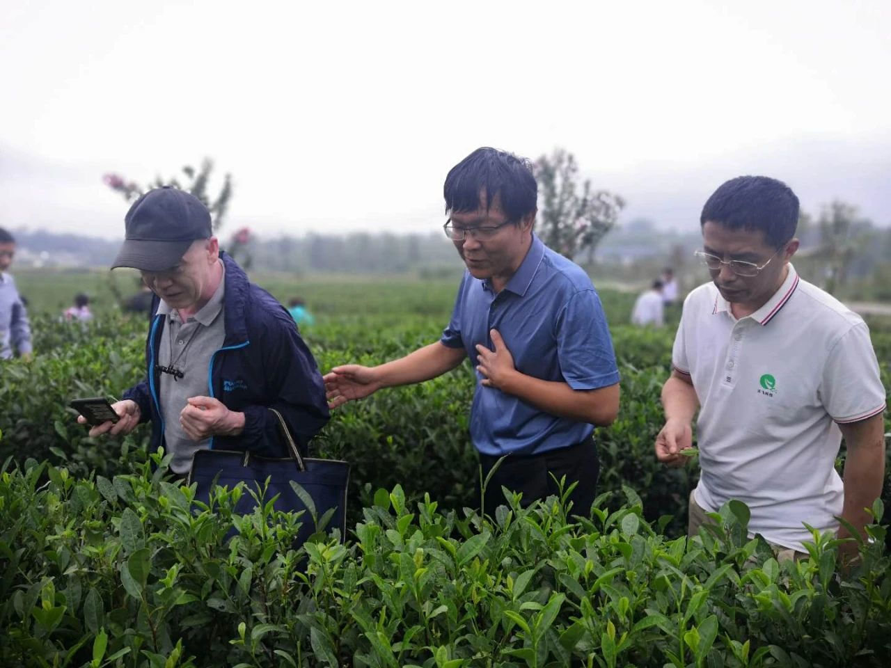 云飞科技珠海,云飞科技有限公司