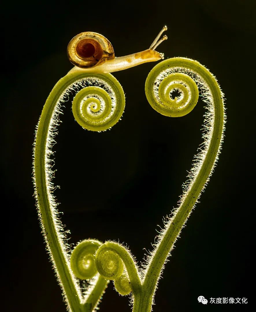 第四届国际风光摄影大赛,第四届国际摄影巡回赛