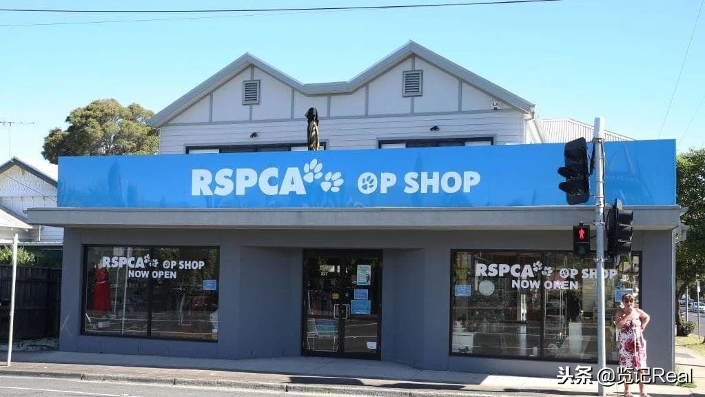 要买就买廉价的东西,要买就买不保值二手车