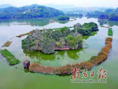 惠州西湖风景区好玩吗值得去吗,惠州西湖风景区简介