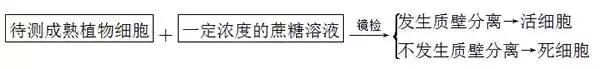 高中生物实验方法归纳图怎么画的,高中生物实验专题归纳