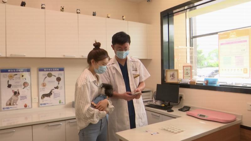 无锡狗狗上狗证,无锡狗狗要办证吗