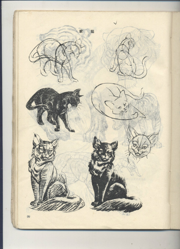 一百幅动物素描,近百幅动物画