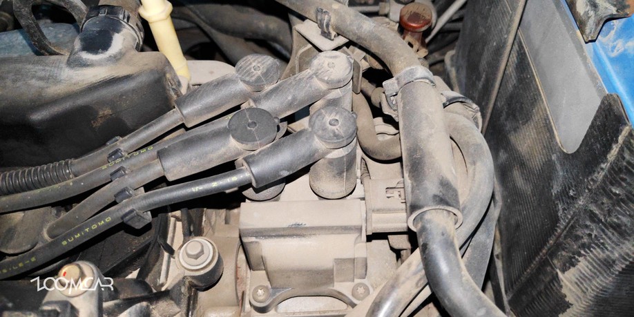 马六之前的马六,马六的成长史