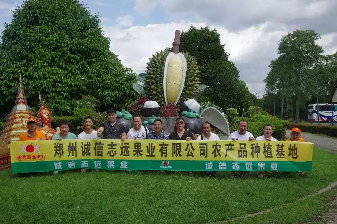 双剑合璧晋级4强,双剑合璧成功