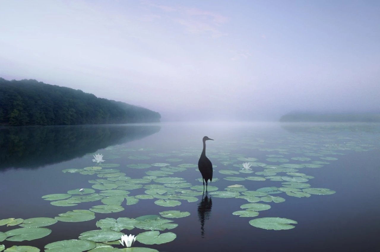 国家重大发明的作文300字,经典文学作品和优秀作文选稿