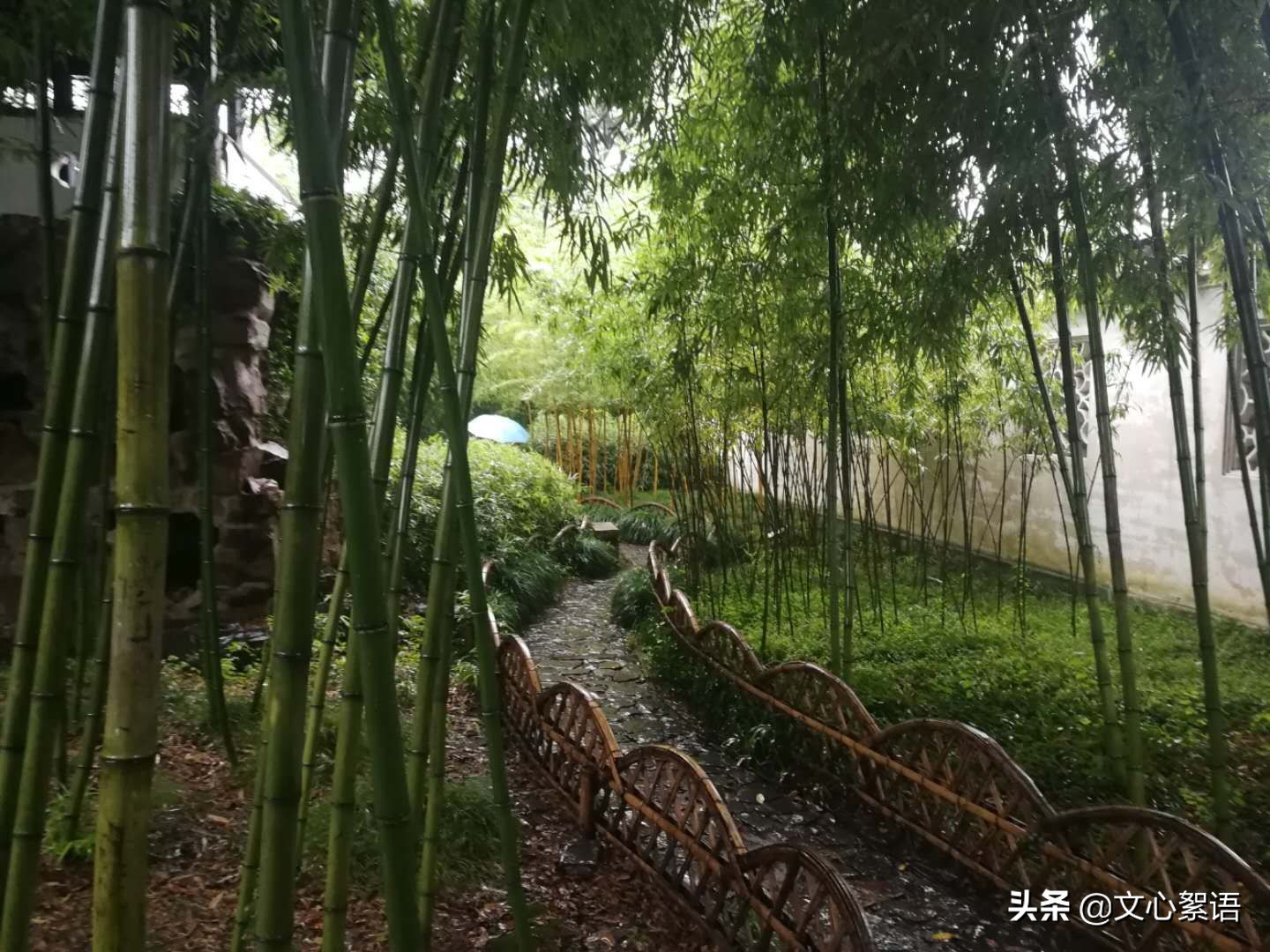 苏州园林一日游价格,苏州园林景点门票多少钱