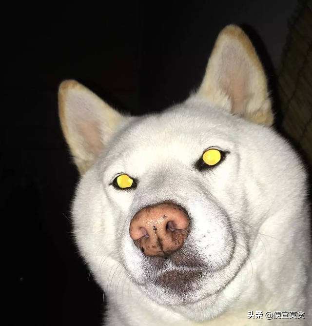 现在的网络兼职打字员靠谱吗,在家兼职打字员真的有用吗