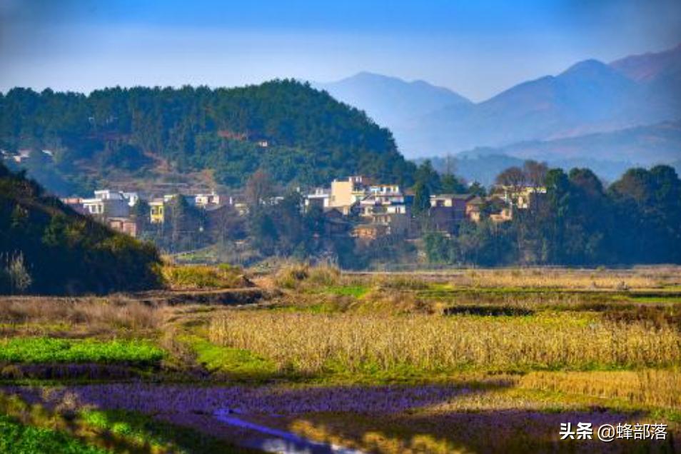 现在海外代购怎么做,海外代购商业模式