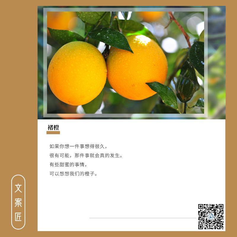 适合抄的文案短句,适合抄在书上的励志文案